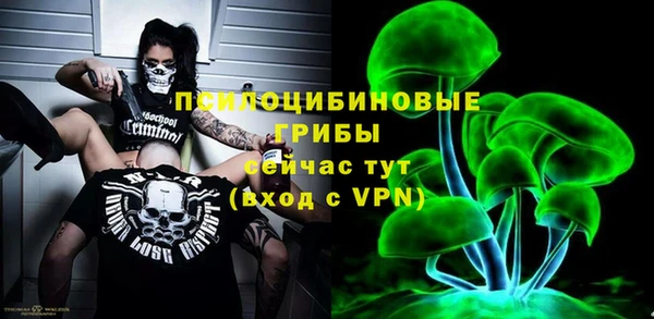 apvp Алексин