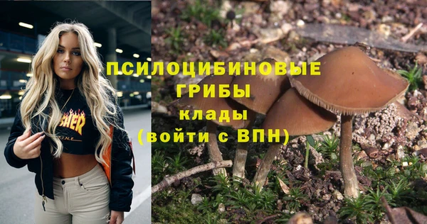apvp Алексин