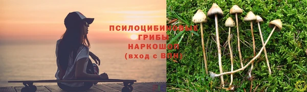кокаин премиум Алексеевка