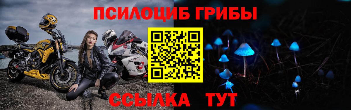 Галлюциногенные грибы MAGIC MUSHROOMS Сорочинск